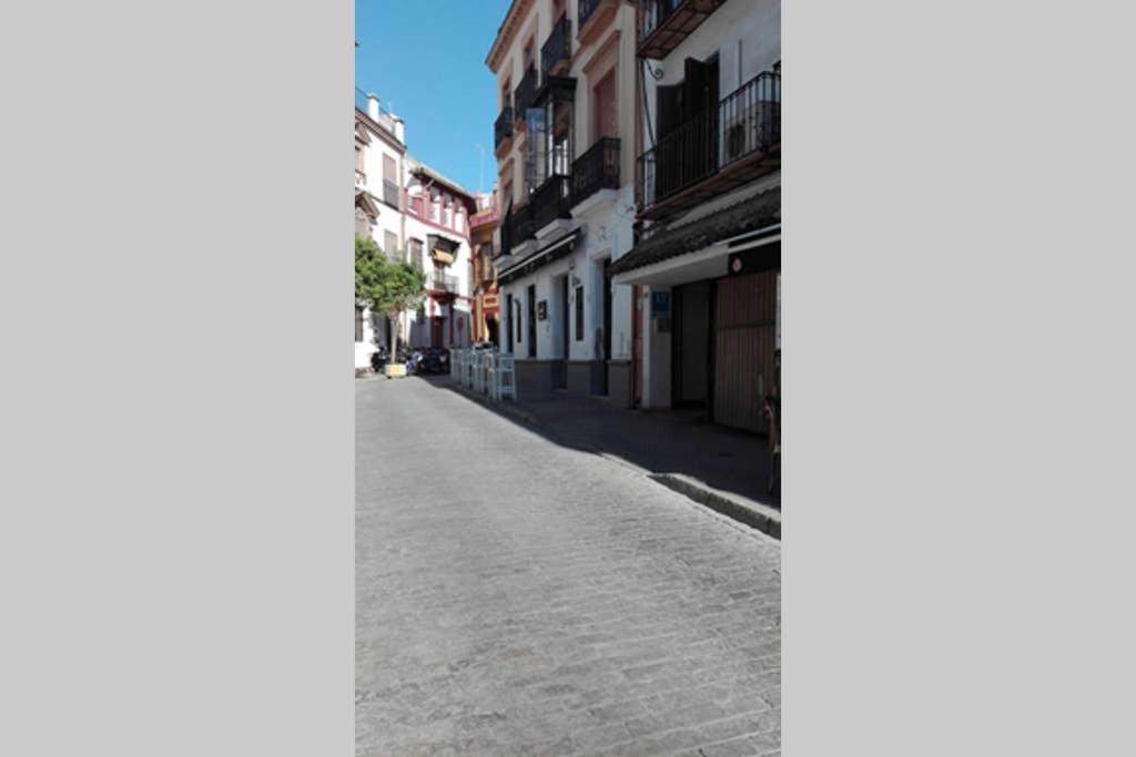 1 Minute From Cathedral. Feel The Heart Of Sevilla Exteriör bild